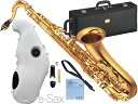 YAMAHA ( ヤマハ ) YTS-875EX テナーサックス ラッカー カスタム ゴールド 日本製 Tenor saxophone gold Custam 管楽器 e-Sax ES2-TS セット　北海道 沖縄 離島不可