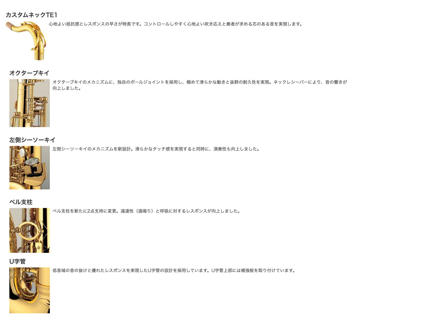 YAMAHA ヤマハ 5年保証サービス対象 YTS-875EX テナーサックス ラッカー カスタム ...