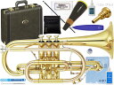 YAMAHA ( ヤマハ ) YCR-8335 コルネット ラッカー イエローブラス ショート ネオ クリアラッカー B♭ YCR-8335 Cornet Neo セット C　北海道 沖縄 離島不可