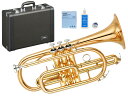 YAMAHA ( }n ) YCR-4330GII Rlbg bJ[ S[huX V[g Ǌy B YCR-4330G-2 Cornet GOLD@kC  s