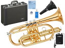 YAMAHA ( ヤマハ ) YCR-4330GII コルネット ラッカー ゴールドブラス ショート 管楽器 B♭ YCR-4330G-2 Cornet GOLD SB7X セット　北海道 沖縄 離島不可