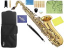 Kaerntner ( ケルントナー ) KTN-65 テナーサックス アウトレット KTN65 ラッカー ゴールド 管楽器 Tenor saxophone gold セット B 北海道 沖縄 離島 同梱不可