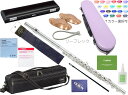 YAMAHA ヤマハ YFL-587 インライン リングキイ フルート フィネス C管 頭部管 銀製 日本製 管楽器 Finesse flute Profess...