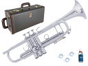 Vincent Bach ヴィンセント バック AB190 SP アルティザン B♭ トランペット イエローブラスベル 銀メッキ Trumpet Artisan...