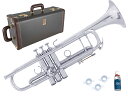 Vincent Bach ( ヴィンセント バック ) AB190 SP アルティザン B♭ トランペット イエローブラスベル 銀メッキ Trumpet Artisan Collection Silver　北海道 沖縄 離島不可