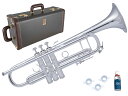 Vincent Bach ヴィンセント バック AB190 GBSP アルティザン B♭ トランペット ゴールドブラス 銀メッキ Trumpet Artisan...