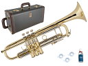 Vincent Bach ヴィンセント バック AB190 GL アルティザン B♭ トランペット イエローブラス ゴールド ラッカー Trumpet Arti...
