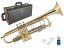 Vincent Bach ( 󥻥 Хå ) AB190 GL ƥ B ȥڥå ֥饹  å Trumpet Artisan Collection Gold̳ƻ  ΥԲ