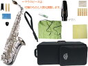 J Michael ( Jマイケル ) AL-900S アルトサックス 銀メッキ 管楽器 シルバー alto saxophone ヤマハマウスピース セット D　北海道 沖縄 離島 同梱 代引き不可