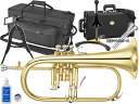 YAMAHA ( ヤマハ ) YFH-8310Z フリューゲルホルン ラッカー ゴールド イエローブラス カスタム B♭ Flugelhorn custom gold セット B　北海道 沖縄 離島不可 その1