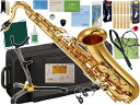 YAMAHA ( }n ) YTS-380 ei[TbNX bJ[ Ki Ǌy tenor saxophone gold YTS-380-01 Zbg G@kC  s