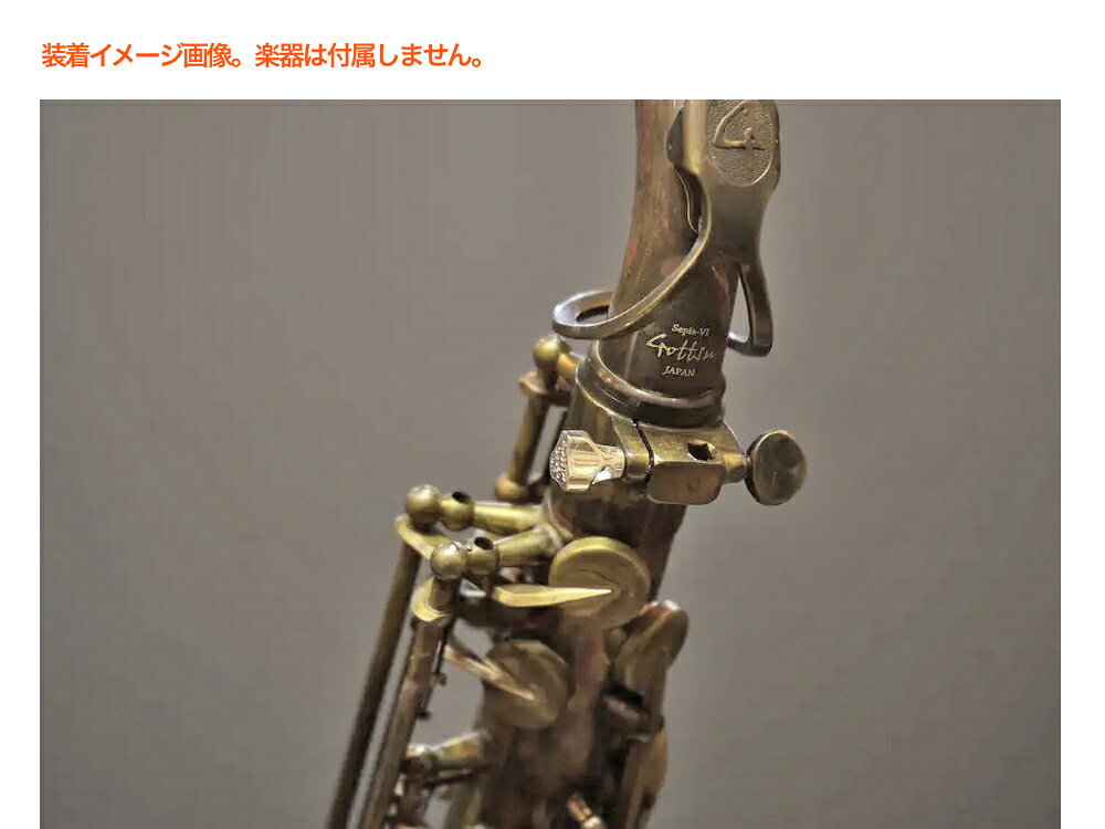 Gottsu ゴッツ SV950 ネックスクリュー 0.7ピッチ ソリッドシルバー ヤマハ Gottsu...