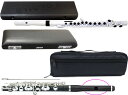 Pearl Flute ( パールフルート ) PFP-105E ピッコロ 合成樹脂 グラナディッテ ハイウェーブタイプ歌口 頭部管 管体 樹脂製 Eメカニズム PFP105E セット E　北海道 沖縄 離島不可