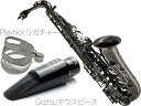 Chateau ( シャトー ) CAS-H92B アルトサックス ブラックニッケル レッドブラス Alto Saxophone black Gottsuマウスピース セット A　北海道 沖縄 離島不可 1