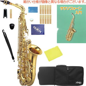 Kaerntner ( ケルントナー ) KAL62 アルトサックス ラッカー ゴールド 管楽器 Alto saxophone KAL-62 セット C　北海道 沖縄 離島 同梱不可