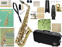 Antigua ( アンティグア ) AS3108 アウトレット アルトサックス スタンダード GL ラッカー メイヤー ジャズ セット alto saxophone Meyer Jazz　北海道 沖縄 離島不可