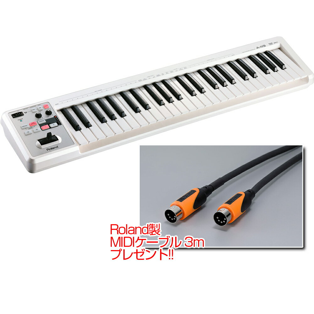 Roland (  ) A-49 WHITE Roland MIDI֥ 3mץ쥼ȡ MIDI ܡ ȥ顼A-49-WH ̵ۢ ȥ顼 ץ