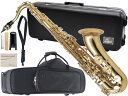 Antigua ( アンティグア ) TS3108 テナーサックス スタンダード ラッカー ゴールド 管楽器 tenor saxophone Standard GL gold セット F　北海道 沖縄 離島不可