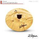 Zildjian ( ジルジャン ) 10