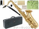 Antigua ( アンティグア ) TS2800 アウトレット エルドン テナーサックス ラッカー 管楽器 eldon tenor saxophone gold セット F　北海道 沖縄 離島不可