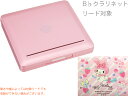 【メール便出荷品】B♭ クラリネット リードケース サクラピンク 12枚用収納 プラスチック clarinet reed case pink ピンク セット A　北海道 沖縄 離島不可