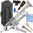 YAMAHA ヤマハ YTR-8335GS トランペット 正規品 Xeno ゼノ ゴールドブラス 銀メッキ シルバー カスタム 楽器 B♭ Trumpets custom セット D 北海道 沖縄 離島不可