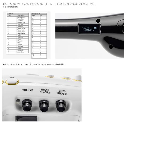 TAHORNG タホーン ELS10WH ホワイト Elesa 電子サックス エレサ デジタルサックス ...