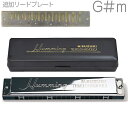 SUZUKI ( XYL ) SU-21 Humming Gm n~O n[jJ 21 { Tremolo Harmonica G}Ci[ [hv[g RP-21HM Zbg@kC  s