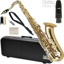 Antigua ( アンティグア ) TS3108 テナーサックス スタンダード ラッカー Tenor saxophone Standard GL gold Gottsuセピアトーン VI セット G　北海道 沖縄 離島不可