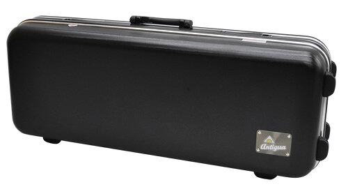 Antigua アンティグア TS3108 テナーサックス スタンダード ラッカー ゴールド 管楽器 tenor saxophone Standard GL gold セット J　北海道 沖縄 離島不可