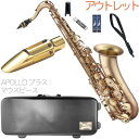 Antigua ( アンティグア ) TS4248 パワーベル RSFL テナーサックス アウトレット ネビュラ レッドブラス Tenor sax powerbell Red brass NEBULA セット A　北海道 沖縄 離島不可