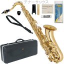 Antigua ( アンティグア ) TS2800 アウトレット エルドン テナーサックス ラッカー ゴールド 管楽器 eldon Tenor saxophone セット H　北海道 沖縄 離島不可