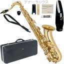 Antigua ( アンティグア ) TS2800 アウトレット エルドン テナーサックス ラッカー ゴールド 管楽器 eldon Tenor saxophone vandorenマウスピース セット I　北海道 沖縄 離島不可