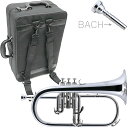 J Michael Jマイケル FG-550S フリューゲルホルン 銀メッキ 管楽器 シルバー flugel horn BACHマウスピース セット G 北海道...
