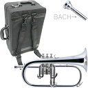 J Michael ( Jマイケル ) FG-550S フリューゲルホルン 銀メッキ 管楽器 シルバー flugel horn BACHマウスピース セット G　北海道 沖縄 離島不可