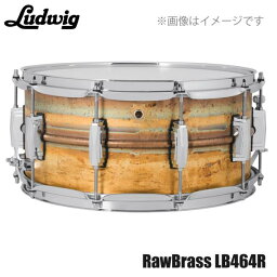 LUDWIG ( ラディック ) LB464R Raw Brass Phonic 14"×6.5" ドラム スネア ブラス【LB464R】