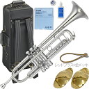 YAMAHA ヤマハ YTR-8335GS トランペット 銀メッキ ゼノ ゴールドブラス カスタム Xeno B♭ Trumpets custom セット H 北海道 沖縄 離島不可(2)