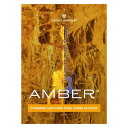 勵ʥٳڴŷSHOP㤨UJAM ( 桼 Virtual Guitarist AMBER 2  ץ饰 DTM DAWפβǤʤ21,200ߤˤʤޤ