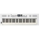 Roland ローランド GOKEYS5-WH 61鍵盤 キーボード ホワイト(2)