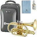 JUPITER ジュピター JCR700 コルネット ラッカー イエローブラス 管楽器 Bb Cornet JCR-700 ゴールド カラー 北海道 沖縄 離島...