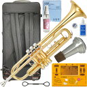 YAMAHA ヤマハ YTR-3335 トランペット リバースタイプ ラッカー 1本支柱 管楽器 リバース管 B♭ Trumpet TDM-700DPO4 セッ...