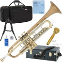 YAMAHA ヤマハ YTR-8335GH トランペット ブラッシュドサテン ラッカー ゴールドブラス カスタム B♭ Trumpets gold custom...