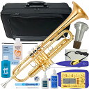 YAMAHA ヤマハ YTR-4335G2 トランペット ラッカー ゴールドブラス B♭ YTR-4335GII Trumpets gold CA-50C P0...