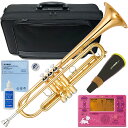 YAMAHA ヤマハ YTR-4335G2 トランペット ラッカー ゴールドブラス B♭ YTR-4335GII Trumpets gold TDM-700DM...