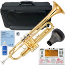 YAMAHA ヤマハ YTR-4335G2 トランペット ラッカー ゴールドブラス B♭ YTR-4335GII Trumpets TDM-700DAL2 アリ...