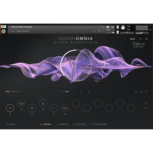 Native Instruments ネイティブインストゥルメンツ Choir Omnia - Essentials コーラス音源 プラグイン DTM DAW Native Instruments ネイティブインストゥルメンツ Choir Omnia - Essentials コーラス音源 プラグイン DTM DAW