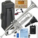 YAMAHA ヤマハ YTR-8335GS トランペット Xeno ゼノ ゴールドブラス 銀メッキ シルバー カスタム B♭ Trumpets custom S...