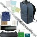 Pearl Flute パールフルート PF-525RE リングキィ フルート リッププレートライザー銀製 ブリランテ Eメカニズム オフセット Brillante PF525RE セット I 北海道 沖縄 離島不可