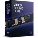 WAVES ウェイブス Video Sound Suite プラグイン エフェクト DTM DAW【VSSSG】【セール特価 】