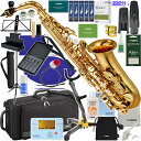 YAMAHA ヤマハ 5年保証サービス対象 YAS-480 アルトサックス ラッカー ゴールド 管楽器 セットH 以下対応不可 北海道 沖縄 離島 代引き